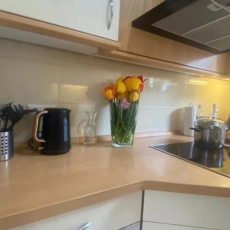 2 Schlafzimmer Apartment, Kueche U Terrasse In Freiburg