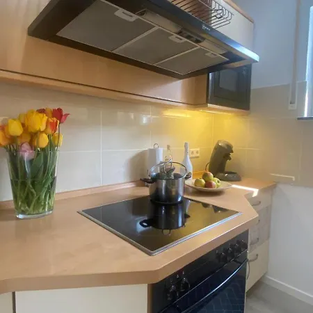 2 Schlafzimmer Apartment, Kueche U Terrasse In Freiburg *